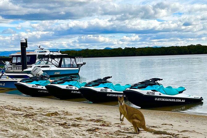 1.5 hr Jet Ski Safari tour to South Stradbroke Island! - Is $214.46 good value?