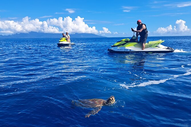 1-hour jet ski excursion in Tahiti - Wildlife sightings add a lucky bonus