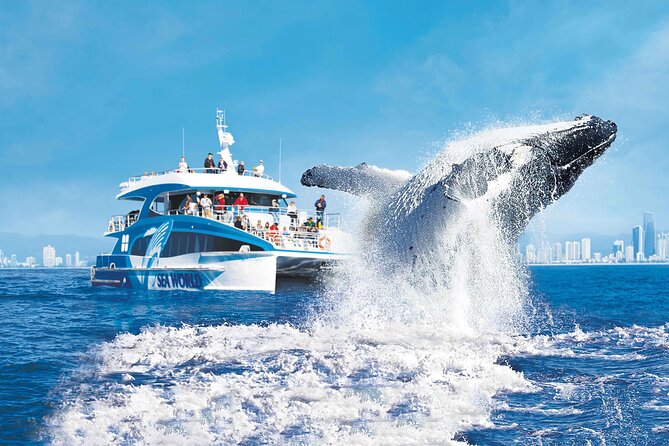 1hr Jet Ski Safari - Following the Broadwater toward South Stradbroke Island