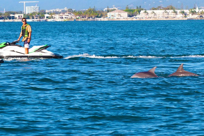 1hr Jet Ski Safari - The first ride: practice before speed