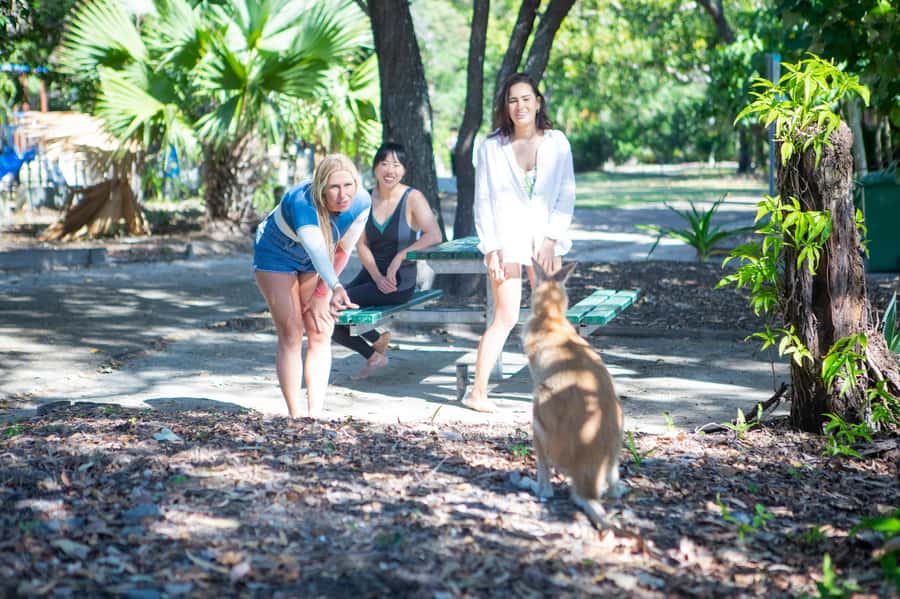 2.5-Hour Ultimate Jet Ski Safari to North Stradbroke Island - The return ride and the physical demands