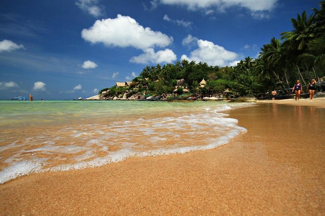 2.5 hours Pig Island-Virgin Islands & Snorkeling Jet Ski Safari - Key points to know before you book
