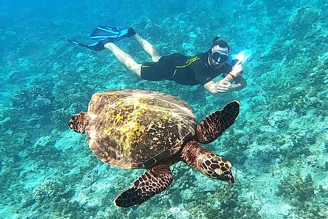 2-hour Jet Ski outing in Puna'auia - Wildlife sightings add a lucky bonus
