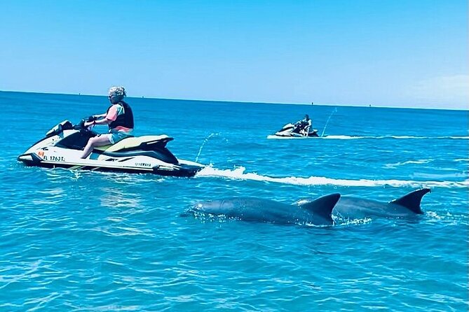 2 Hour Shell Island Jet Ski Dolphin Tour - Key points to know before you book