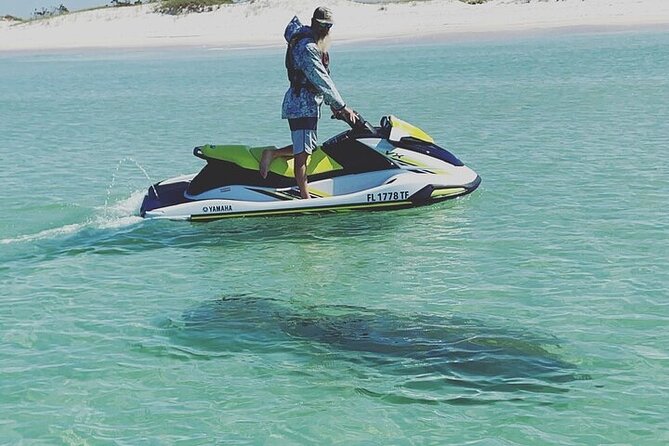 2 Hour Shell Island Jet Ski Dolphin Tour - Starting at 4601 US-98 in Panama City Beach
