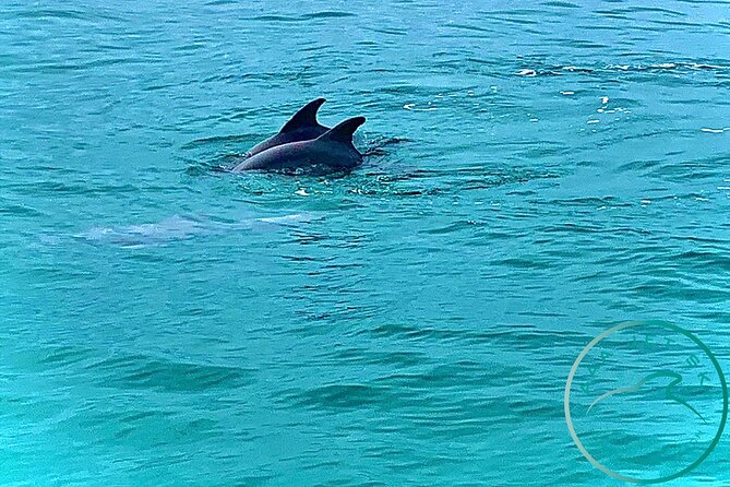2 Hour Shell Island Jet Ski Dolphin Tour - Taking a break on Shell Island