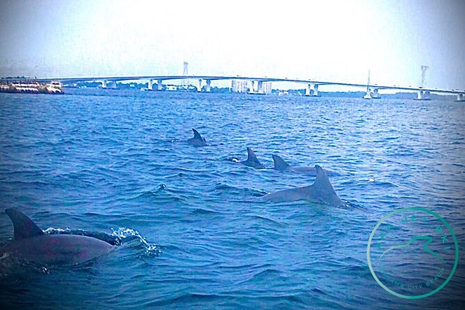 2 Hour Shell Island Jet Ski Dolphin Tour - Learning to handle the jet ski before the bay