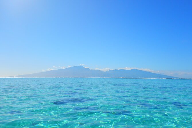 2 hours discovery tour of Moorea by Jet Ski - Swimming with stingrays and blacktip sharks