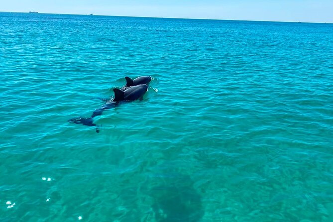 2 Hours Shell Island Jet Ski Tour - The guides make a big difference for beginners
