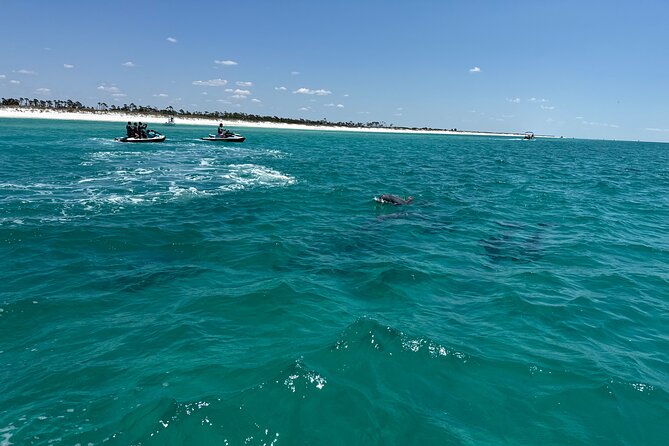 2 Hours Shell Island Jet Ski Tour - Is $159 a fair price?