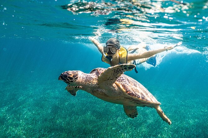 2 in 1 Parasail Cancun and Jet ski - Playa Tortugas meeting point and the handoff between activities