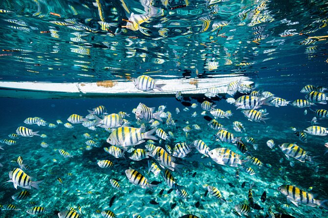 2 in 1 Parasail Cancun and Jet ski - Staff service can be warm, but organization varies