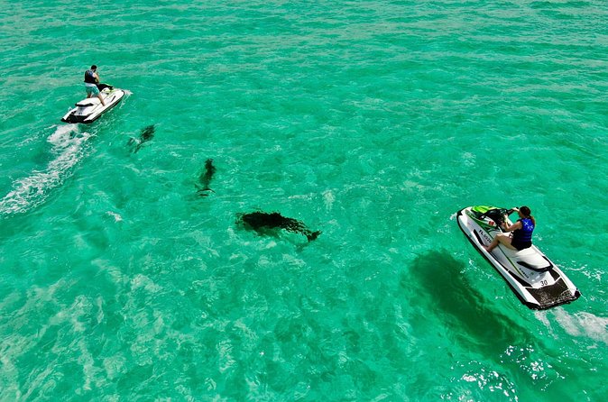 2 Passenger Jet Ski Dolphin Tour from Gilligan’s Watersports - Who will enjoy this Destin tour most