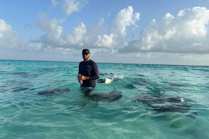 3 Hour Jet ski Adventure Swim with Rays and More - Why this three-hour tour works well