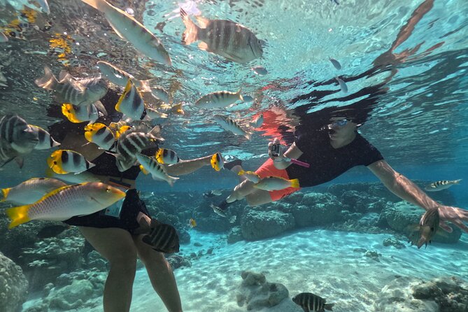 3H Adventure in JET SKI Snorkeling and Tahaa Lagoon - Starting at Hôtel Raiatea Lodge in Tumaraa