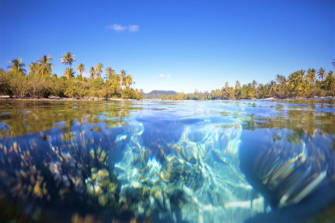 3H Adventure in JET SKI Snorkeling and Tahaa Lagoon - Is $392.33 good value?