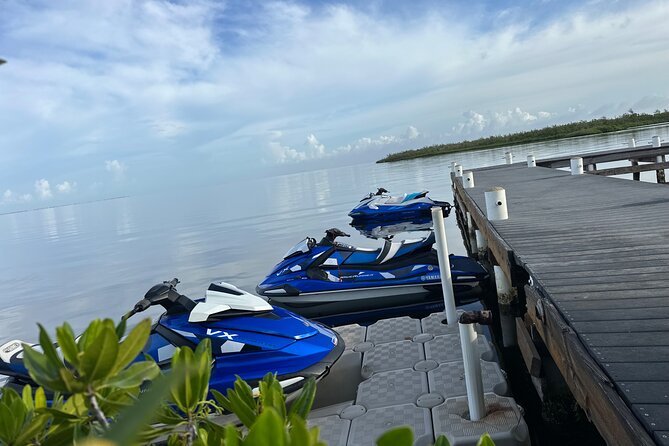 3HR Full Island Life Jetski Tour - Stingray City: the tour’s main event