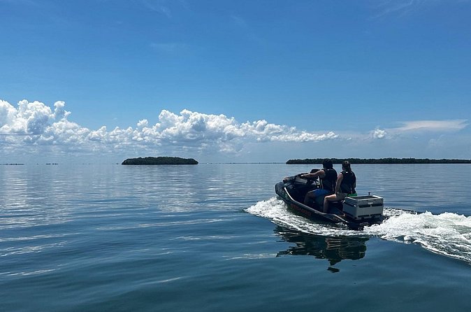 90 Minute Jet Ski Ft Desoto Sand Bar Tour - What the included food adds to a short tour