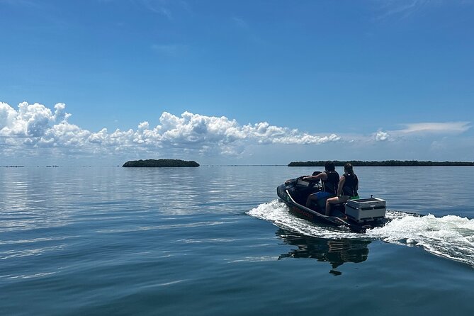 90 Minute Jet Ski Ft Desoto Sand Bar Tour - Who will get the most from this ride