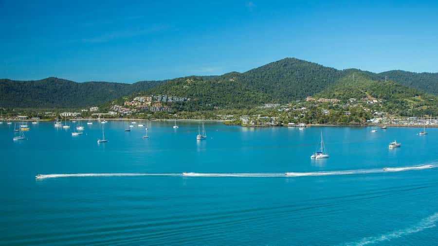 Airlie Beach: Airlie Adventure Jet Ski Tour - From Courtesy Pickup to Safety Briefing