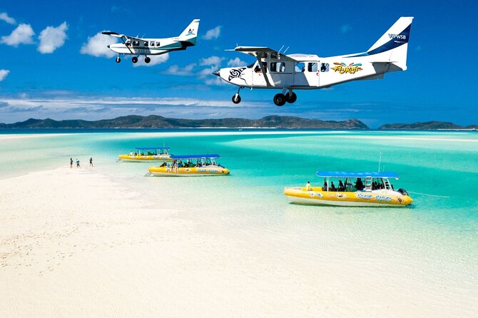 Airlie Beach Jet Ski Safari (1 Hour) - Watching for turtles, dugongs, and other marine life