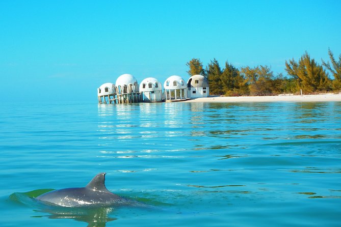 Avi's Premium Dolphin Tour by Jet Ski - Starting at Goodland Boat Park at noon