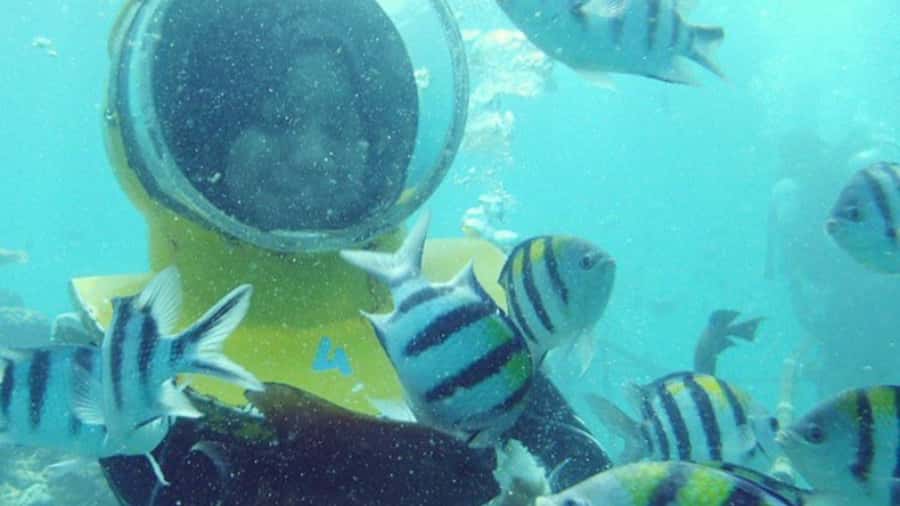 Bali: Sea Walk, Solo Jetski and Parasailing with Pickup - Key points at a glance