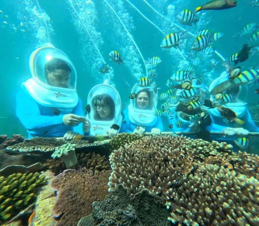 Bali: Tanjung Benoa Jet Ski or Sea walker Adventure - Safety, comfort, and who should skip it