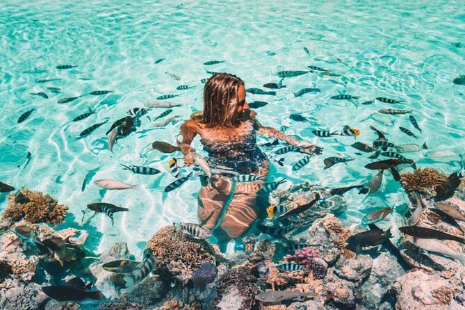 Bora Bora adventure Private Combo Jet Ski and Eco Sharks Snorkel - Why this combo makes sense in Bora Bora