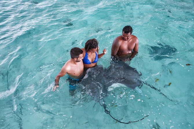 Bora Bora adventure Private Combo Jet Ski and Eco Sharks Snorkel - The afternoon Cap Camarat snorkel safari