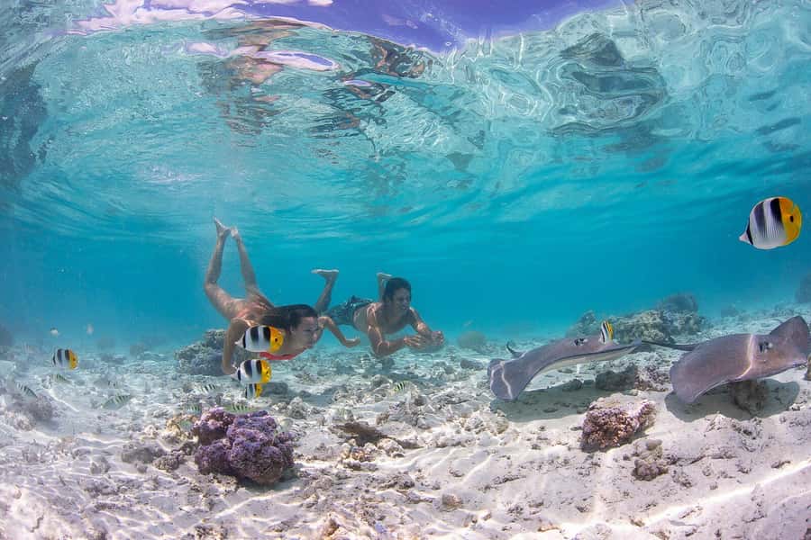 Bora Bora: Jet Ski, Lunch & Shark/ Ray Safari - Why This Six-Hour Combo Works