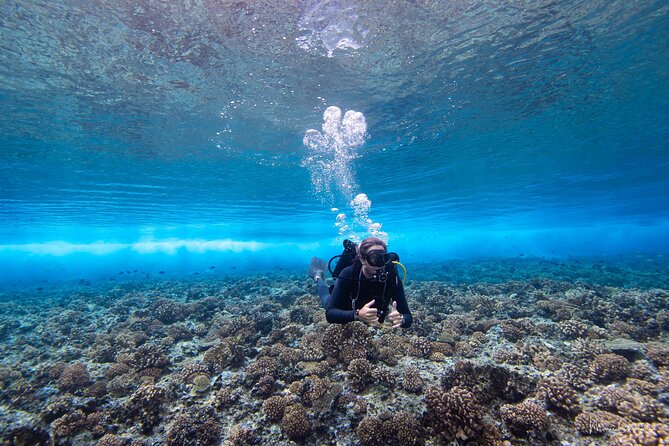 Bora Bora Jet Ski Tour - Is $176.33 per person good value?