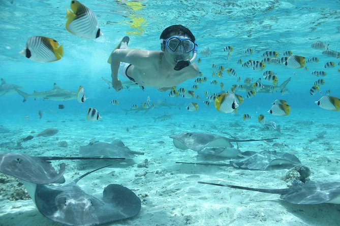 Bora Bora Jet Ski Tour, & Eco Shark / Ray Snorkel Cruise - Heading out by boat for sharks and rays