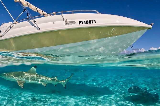 Bora Bora Jet Ski Tour, & Eco Shark / Ray Snorkel Cruise - Marine life, local stories, and guide quality