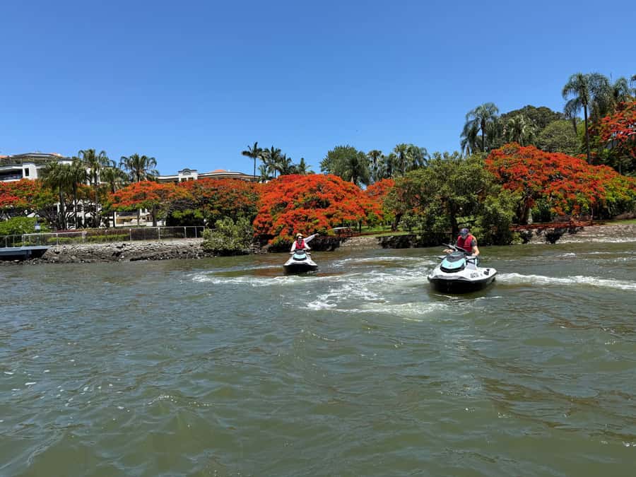 Brisbane River Jet Ski Tour - The return run and the wildlife watch