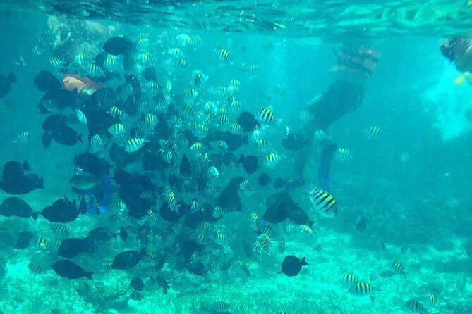 Cancun Jetski and Snorkel Adventure - What the 45-minute ride really feels like