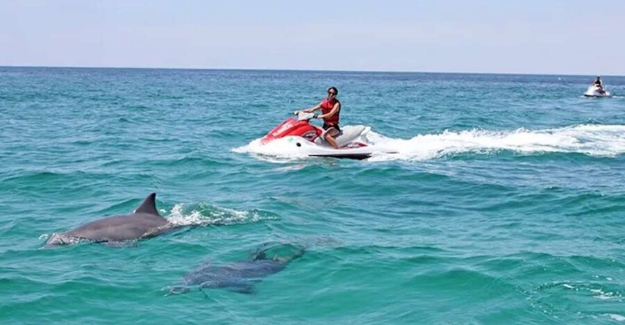 Cape Coral and Fort Myers: Wild Life Jet Ski Tour - What the $268 price really buys you