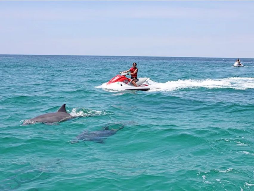 Cape Coral and Fort Myers: Wild Life Jet Ski Tour - The guide can make or break the morning