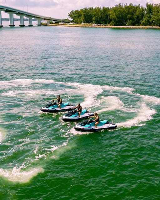 Clearwater: 1 Hour Jetski Dolphin Tour with Guide - Who Will Enjoy This Most?