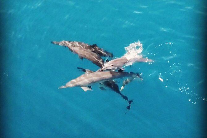 Combo Jet Ski Excursion + 4X4 Safari - Why this Moorea combo works so well