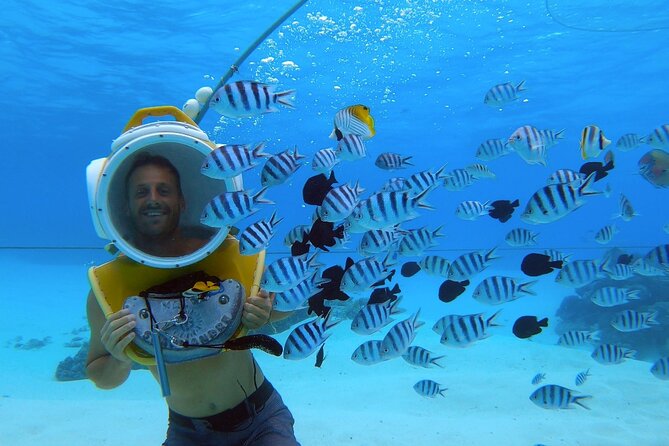 Combo snorkeling + motu lunch + jet ski group tour full day - Lunch on a private motu