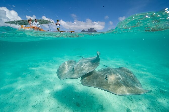 Combo snorkeling + motu lunch + jet ski group tour full day - Coral gardens filled with fish