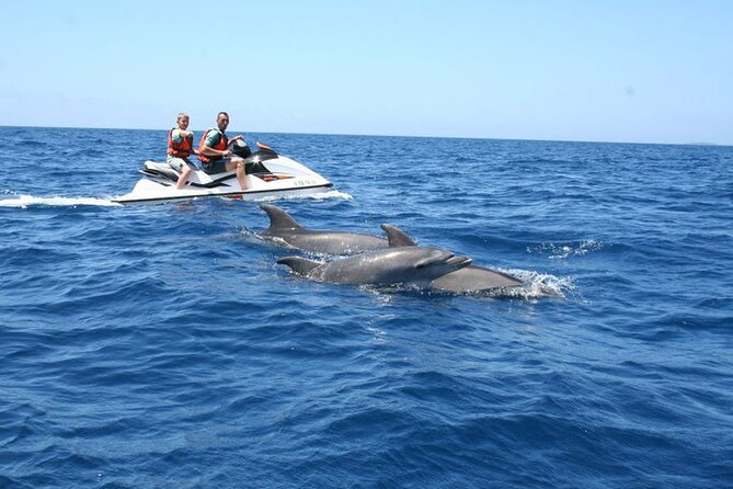 Crab Island Dolphin Jet Ski Adventure - Key points to know before booking