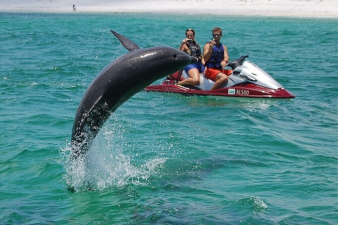 Crab Island Dolphin Jet Ski Adventure - What the Crab Island adventure really offers