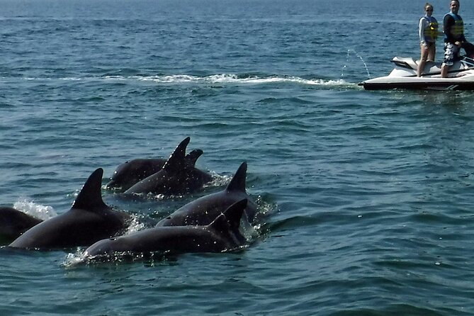 Crab Island Dolphin Jet Ski Adventure - Photo upgrades and what is included