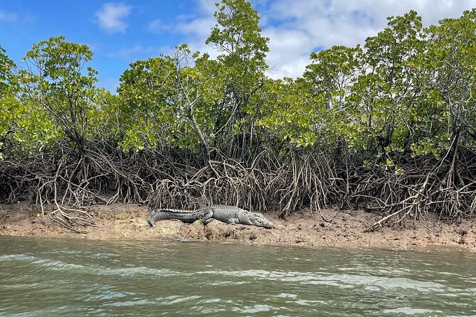 Croc Spotting Jetski Experience in Cairns City - Leaving B Finger at Cairns Marina