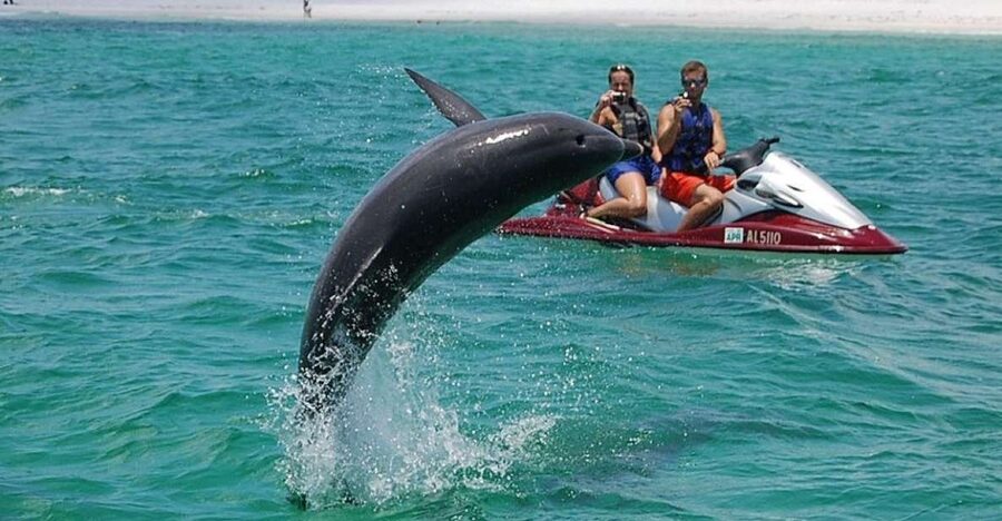 Destin: Crab Island Dolphin Jet Ski Tour - Key points to know before you book