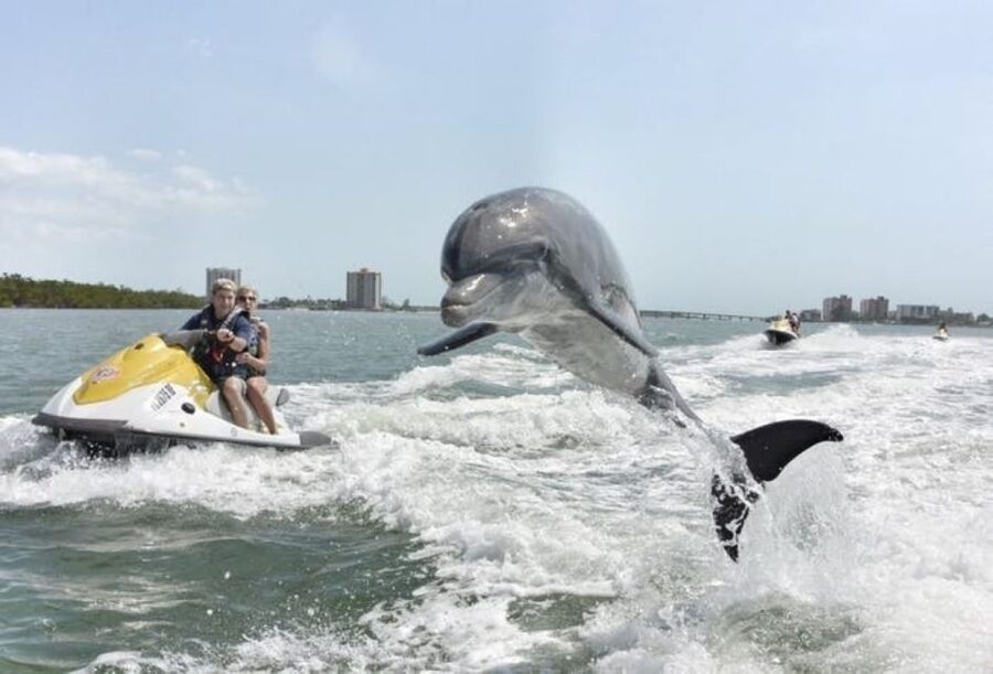 Destin: Crab Island Dolphin Jet Ski Tour - A practical way to plan your two hours