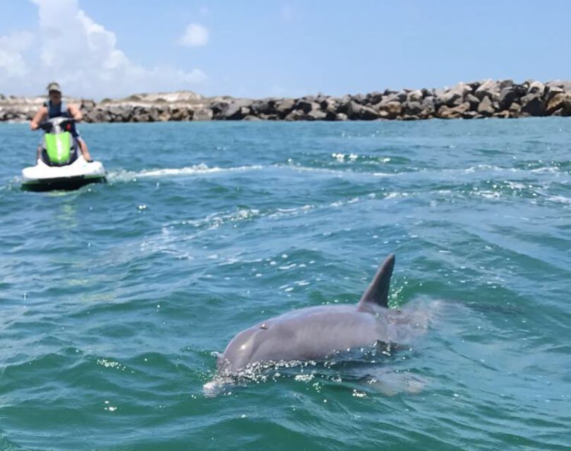 Destin: Crab Island Dolphin Jet Ski Tour - Should you book the Crab Island dolphin jet ski tour?