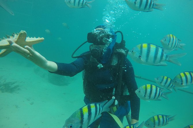 Discover Scuba Diving ( beginners) Combined With Jet Ski - The first stop: getting ready for scuba